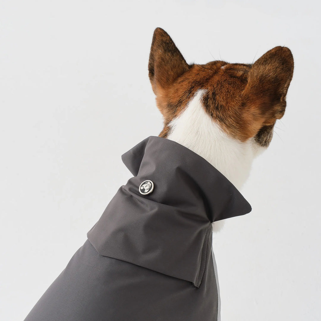 DOG RAIN CAPE for Middle-sized Dog 