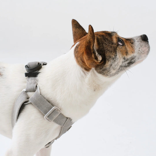 ESC DOG HARNESS for Middle to Large-seized Dog