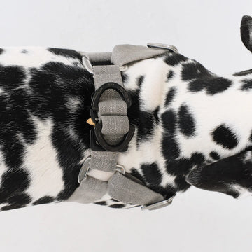 ESC DOG HARNESS ハーネス – ESC TOKYO