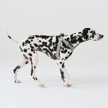 ESC DOG HARNESS ハーネス – ESC TOKYO